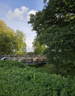 Balade bois et rivières de Chevigny - Maria-Thérèsa  - 8