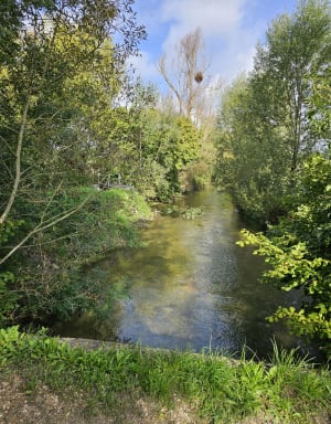 Balade bois et rivières de Chevigny - Maria-Thérèsa  - 9