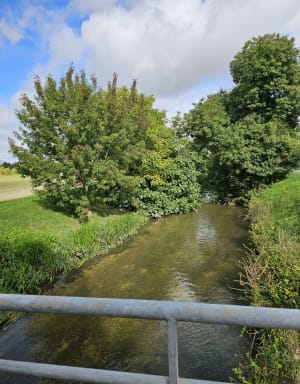 Balade bois et rivières de Chevigny - Maria-Thérèsa  - 12