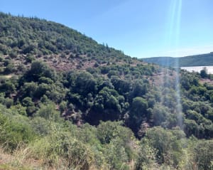 Tour du Lac du Salagou - Alain - 8