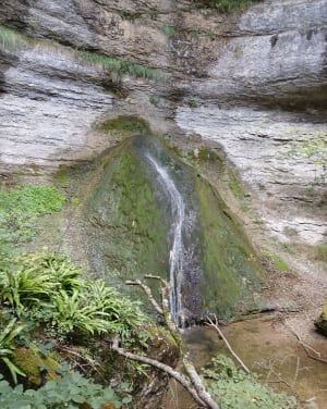 Randonnée ressourçante à la Cascade de Vau et Belvédère de la Thuyère - Marie-laure - 2