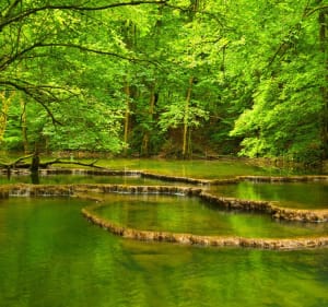 Promenade à la cascade des Tufs et petite source de la Cuisance - Les Planches-prés-Arbois - 2