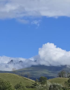 Le Plateau du Bénou et ses magnifiques pâturages - Gwendoline - 9