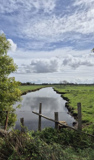 Marais de Donges - Adeline - 10