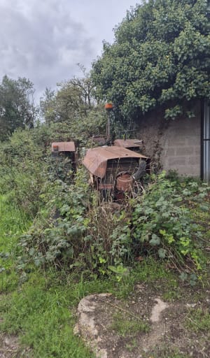 Marais de Donges - Adeline - 11