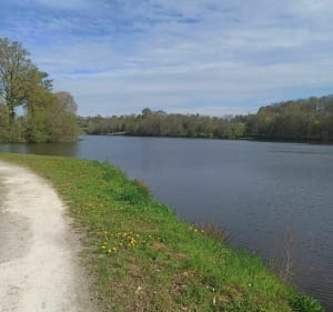 Tour du lac de Mas Chaban à Massignac - Massignac - 2