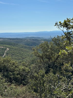 Circuit "Les Sagnes" à Cassagnoles - Jolanda - 5