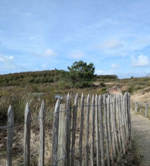 Les dunes de l'Authies - Clémentine - 3