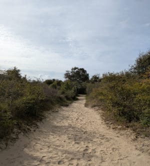 Les dunes de l'Authies - Clémentine - 5