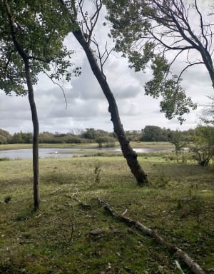 Les dunes de l'Authies - Julien - 2