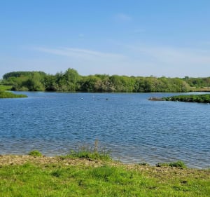 Ostricourt - La Neuville - Etang des cinq tailles - Sev - 2
