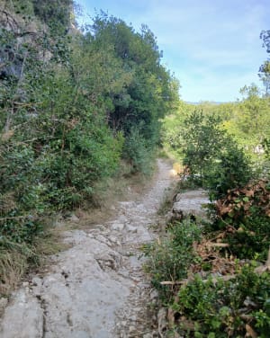 Ballade de Lanas à Servière et retour - Hervé - 7
