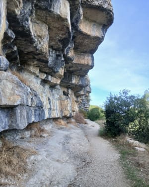 Ballade de Lanas à Servière et retour - Hervé - 8