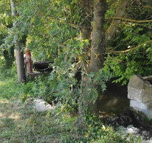 Vedène, Le Thor, Velleron par les petites routes - Vedène - 2