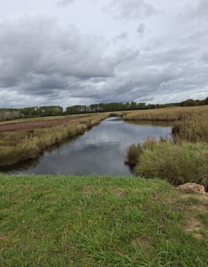 Tour l'île Tudy - Île-Tudy - 9