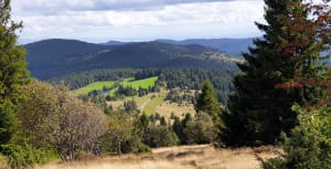 Paysages et vues de rêve au Lac des Truites - Gilles - 3