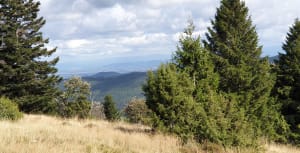 Paysages et vues de rêve au Lac des Truites - Gilles - 2