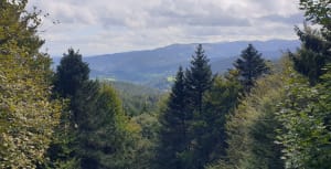Paysages et vues de rêve au Lac des Truites - Gilles - 5