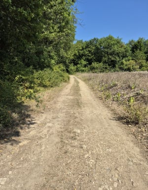 Boucle du Parc la vallée. - Laurence - 6