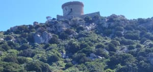 Virée à Campomoro et paysages de rêve - Campomoro - 7