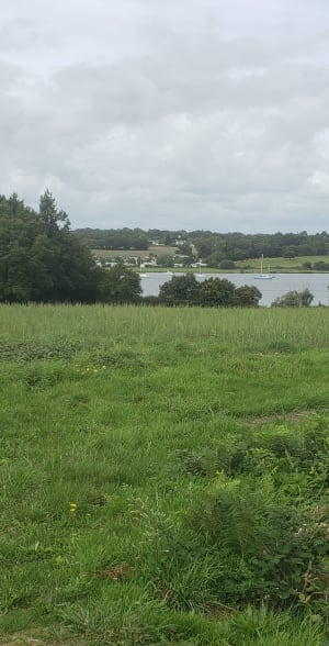 Férel entre forêt et Vilaine - PATRICIA - 3