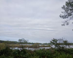 Tour du lac Hardy Soustons Landes - Tiphanie - 5