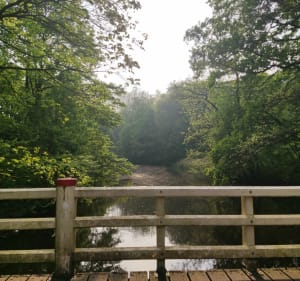 Minitour in het immense Amsterdamse bos - Amstelveen - 2