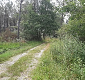 Rando sur Neuvicq 17 - Neuvicq - 2