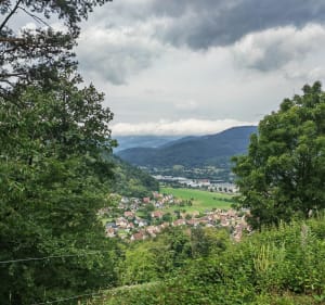 En parallèle de la voie verte à Soultzbach-les-Bains - Olivier - 2