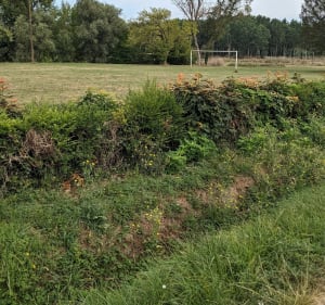 Entre Saint-Pardoux-du-Breuil et Taillebourg - Nathalie - 2
