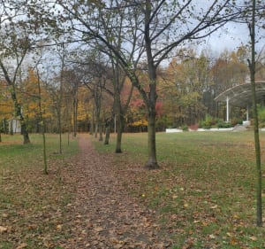 Park Ojców Franciszkanów i Lasy Panewnickie - Rafał - 2