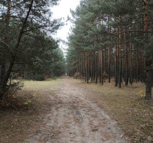 Mała pętla Olsztyńska - Mateusz - 2
