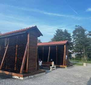Trasa trzech parków - Marek - 2