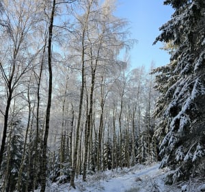 Zejście z Pod Ostrą Małą - Łukasz - 2