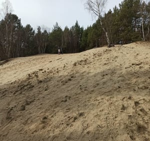 Wkoło Domu - Artur - 2