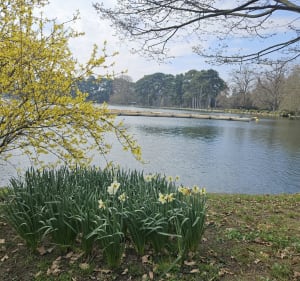 De la Seine au bois de Boulogne et le Lac Inférieur - Paris - 2