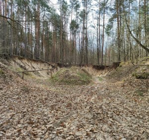 Pętelka spacerowa po Lesie Grabowskim - KRZYSZTOF - 2