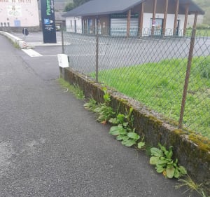 Sortie Gravel à Arudy, par Louvie - Valentin - 2