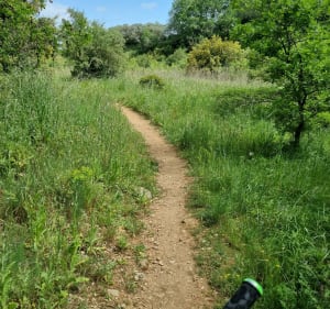 Balade vtt juvignac- saint-georges d'orques- murviel- pignan - Juvignac - 2