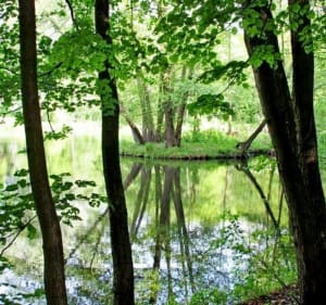 APR 2017 - 10 km - Bartłomiej - 2