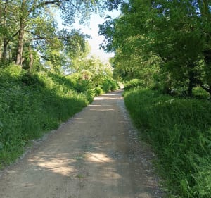 Entre Parc, bord de Loire et étangs - montmartin - 2