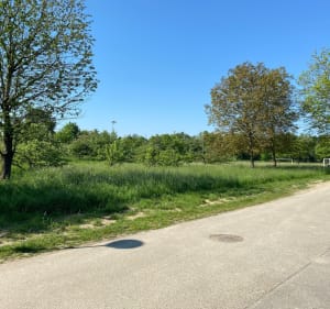 Étang Tagsdorf - Benjamin - 2