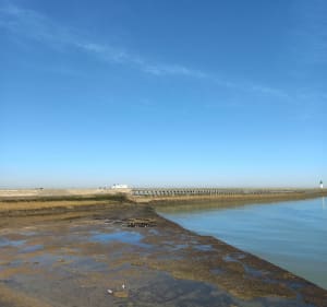 Balade sur calais - Calais - 2