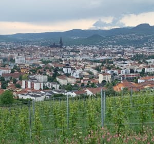 Entre ville et campagne, vue panoramique sur Clermont-Ferrand - Clermont-Ferrand - 2