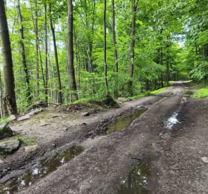 Enduro Ślęża - Kosiński - 2