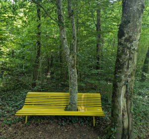 Forêt de Pierrefitte - Aurélie - 2