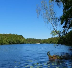 Gdynia Grabówek- Wejherowo - Maksim - 2