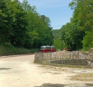 Autour de l'Adoux - Claude - 2