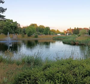 Spacer 5,5 km - Michał - 2