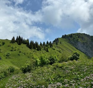 Col de l'Alpettaz - LIONEL - 2